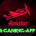 799pka Premium Gaming App